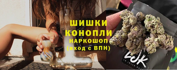ГАЛЛЮЦИНОГЕННЫЕ ГРИБЫ Балабаново