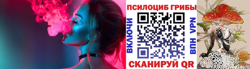 Купить  Игра  Галлюциногенные грибы Psilocybine cubensis 