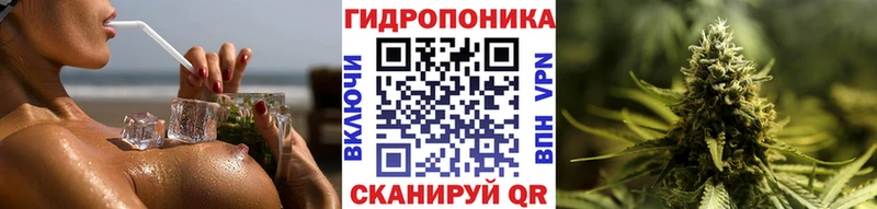 Купить закладки  Игра  Бошки марихуана семена 